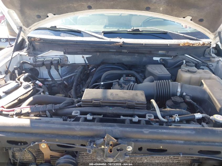 2010 Ford F-150 Stx/Xl/Xlt VIN: 1FTEX1E87AFD02325 Lot: 43444484