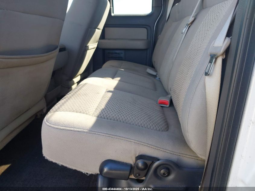 2010 Ford F-150 Stx/Xl/Xlt VIN: 1FTEX1E87AFD02325 Lot: 43444484