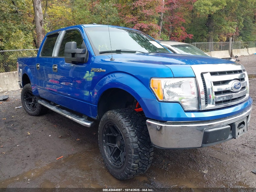 FORD F-150 XLT