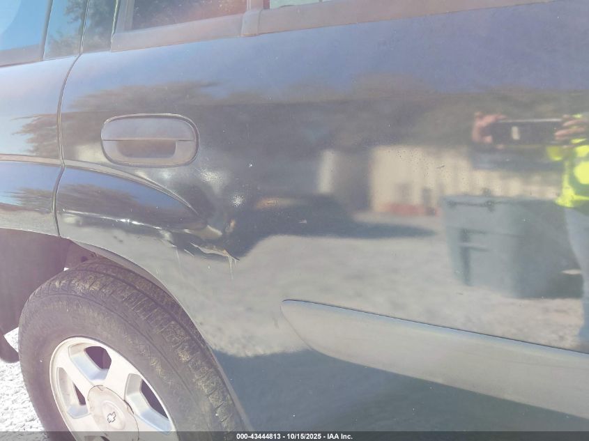 2003 Chevrolet Trailblazer Ls VIN: 1GNDT13SX32230771 Lot: 43444813