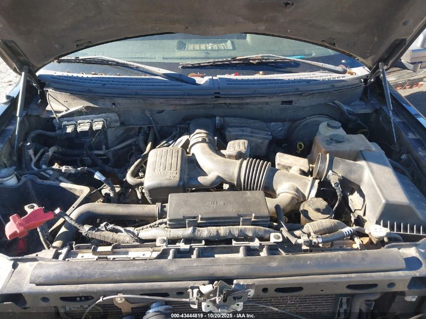 2009 Ford F-150 King Ranch/Lariat/Platinum/Xl/Xlt VIN: 1FTPW12V69FA45661 Lot: 43444819