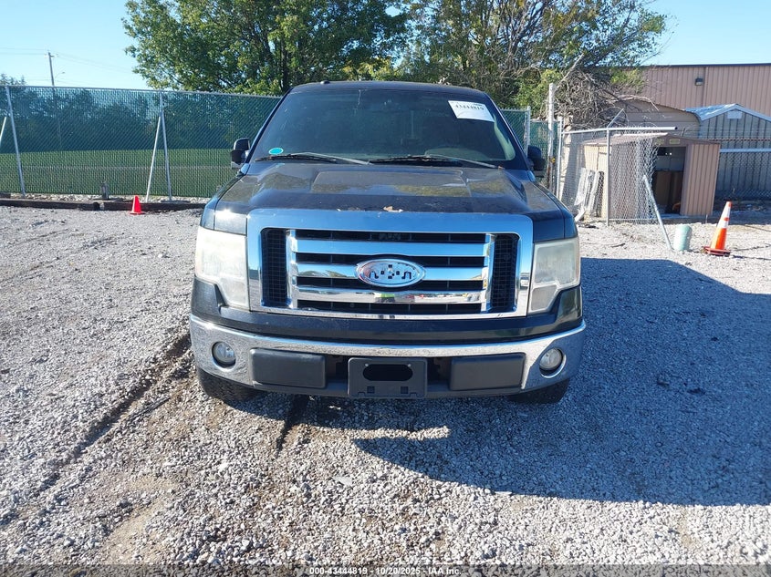2009 Ford F-150 King Ranch/Lariat/Platinum/Xl/Xlt VIN: 1FTPW12V69FA45661 Lot: 43444819