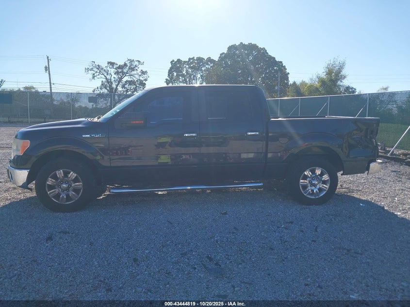 2009 Ford F-150 King Ranch/Lariat/Platinum/Xl/Xlt VIN: 1FTPW12V69FA45661 Lot: 43444819
