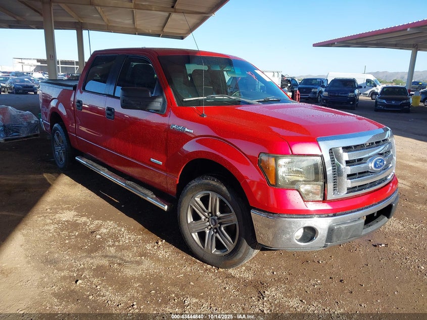 Vin: 1ftfw1ct7bfa86539, lot: 43939691, ford f-150 xlt 2011 img_1