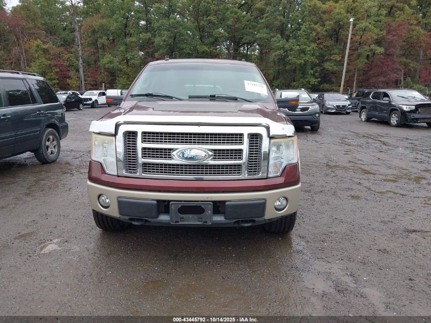 2009 Ford F-150 Fx4/King Ranch/Lariat/Platinum/Xl/Xlt VIN: 1FTPW14V09KB81434 Lot: 43445792