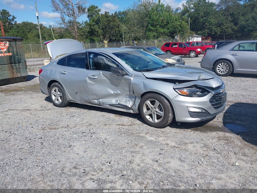 CHEVROLET MALIBU 1FL