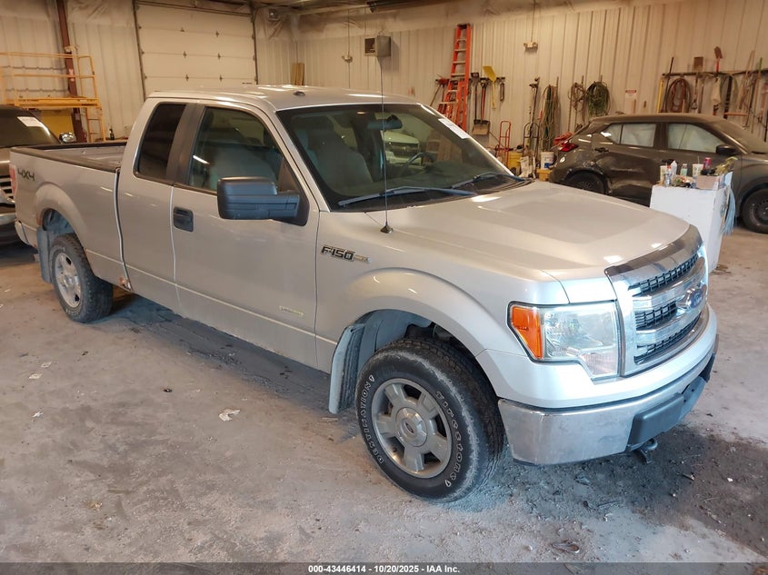 2013 FORD F-150 XLT - 1FTFX1ET7DFD19803