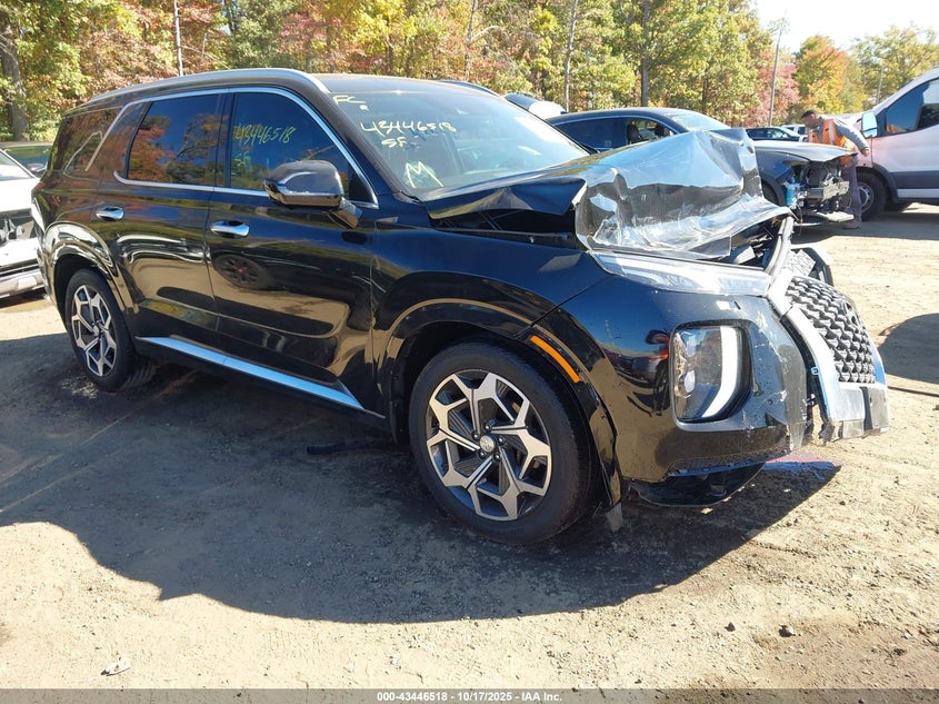 HYUNDAI PALISADE CALLIGRAPHY
