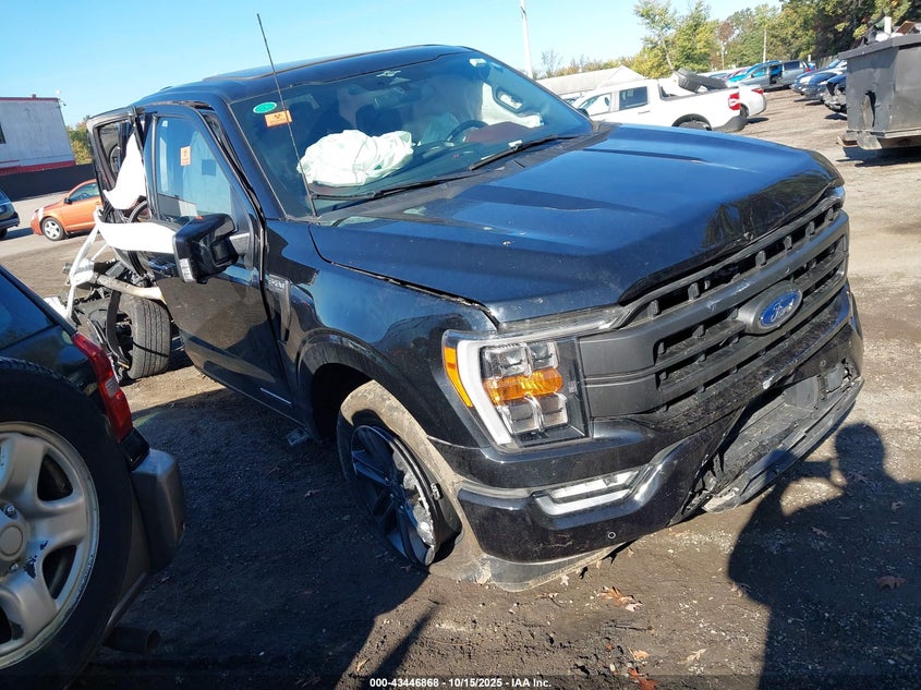 FORD F-150 LARIAT