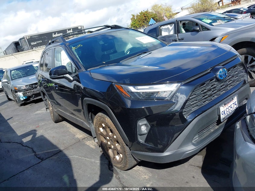 TOYOTA RAV4 HYBRID WOODLAND EDITION