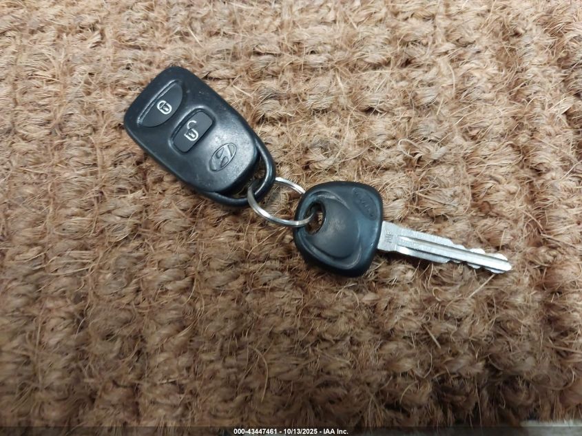 2009 Hyundai Santa Fe Gls VIN: 5NMSG13D09H293422 Lot: 43447461