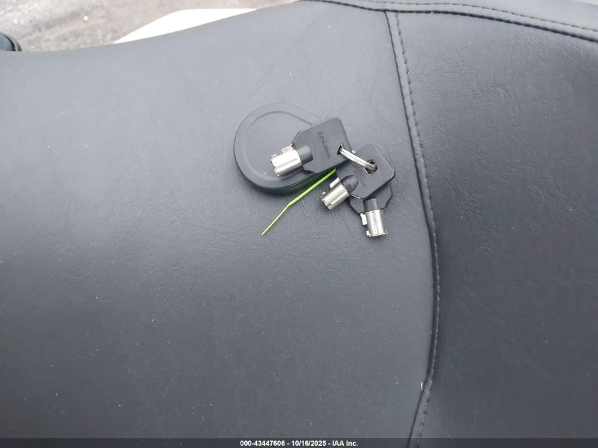 2023 Harley-Davidson Fltrxst VIN: 1HD1ACL10PB606368 Lot: 43447606