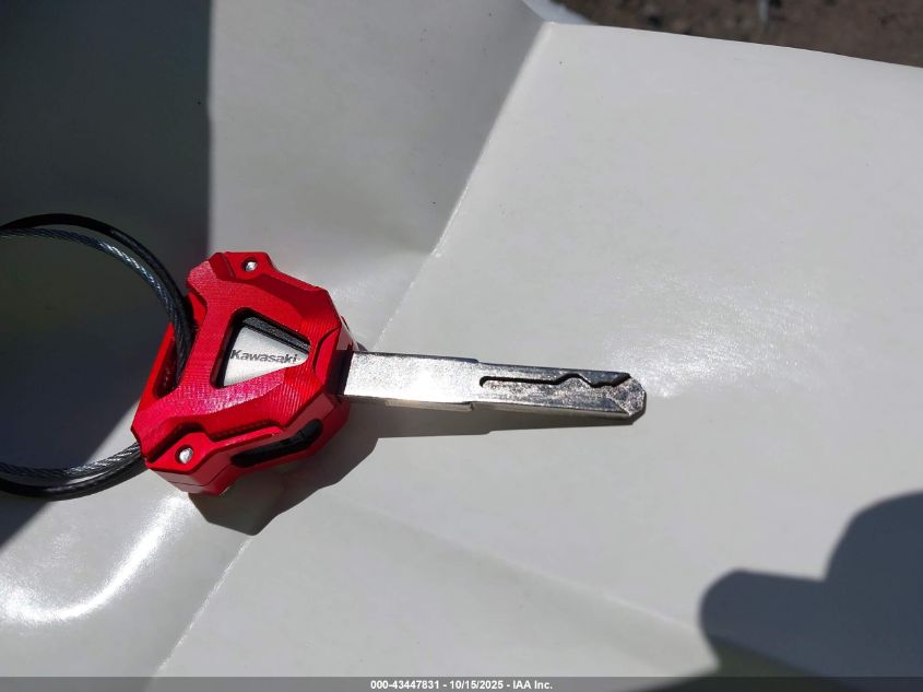 2025 Kawasaki Zx1002 L VIN: JKBZXVL15SA019196 Lot: 43447831