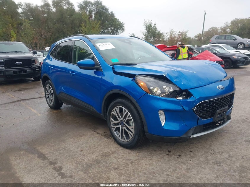 FORD ESCAPE SEL