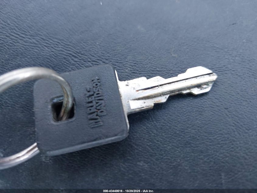 2009 Harley-Davidson Xl883 C VIN: 1HD4CP2149K461774 Lot: 43448616