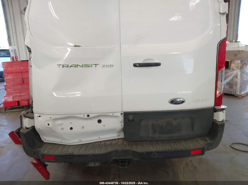 2019 Ford Transit-250 VIN: 1FTYR1YM6KKA63164 Lot: 43448736