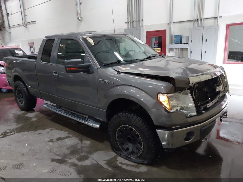 FORD F-150 XLT