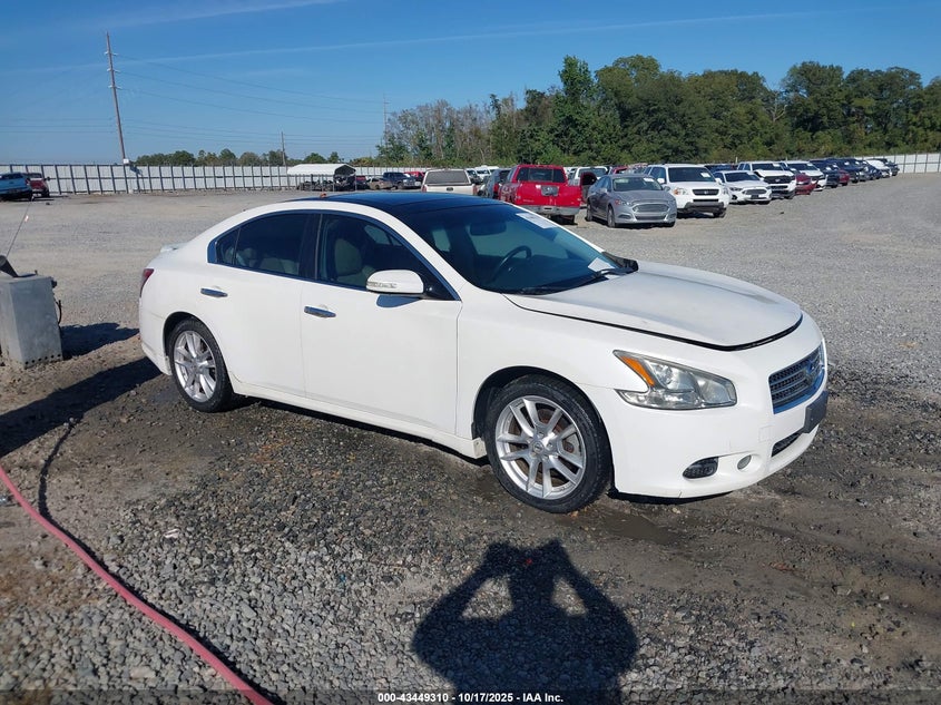 NISSAN MAXIMA 3.5 SV