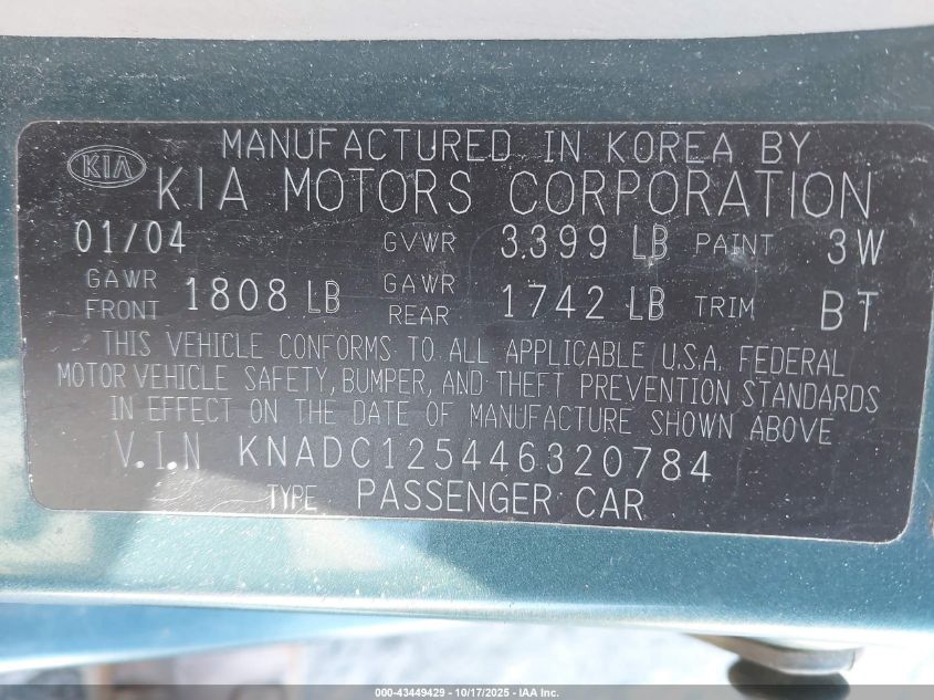 2004 Kia Rio VIN: KNADC125446320784 Lot: 43449429