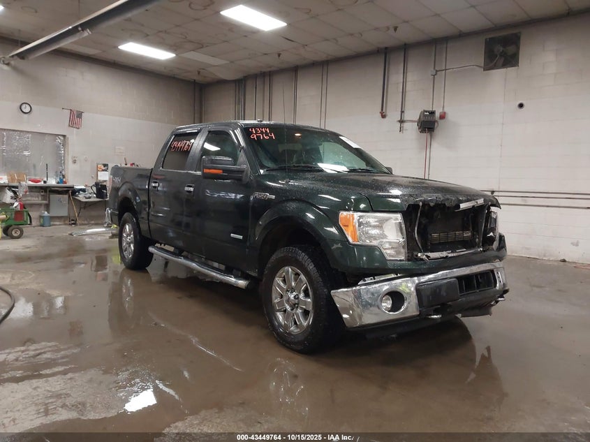 FORD F-150 XLT