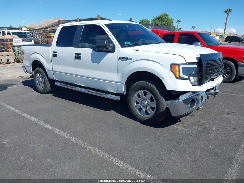 FORD F-150 FX4/HARLEY-DAVIDSON/KING RANCH/LARIAT/PLATINUM/XL/XLT
