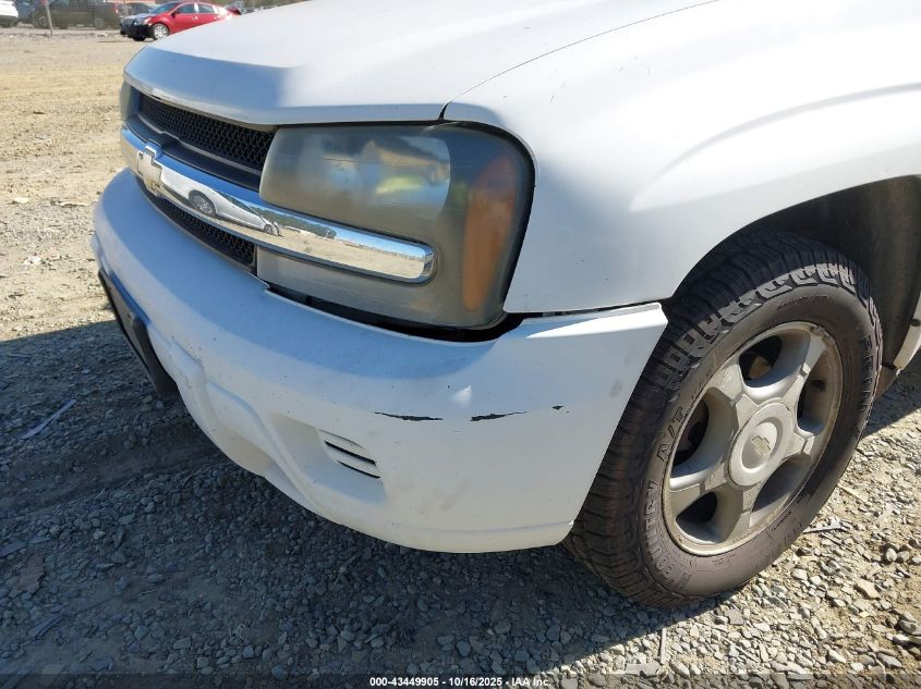 2006 Chevrolet Trailblazer Ls VIN: 1GNDT13S662334551 Lot: 43449905