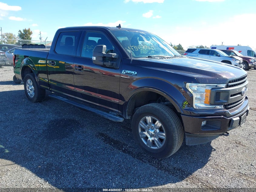 FORD F-150 XLT