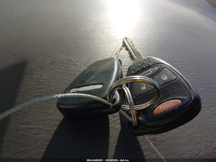 2008 Chrysler Pacifica Limited VIN: 2A8GM78X18R638992 Lot: 43450391