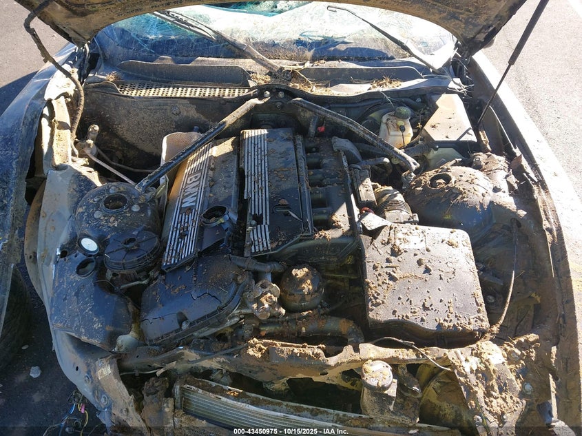 2004 BMW Z4 3.0I VIN: 4USBT53574LT25120 Lot: 43450975