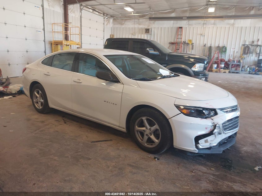 CHEVROLET MALIBU 1FL