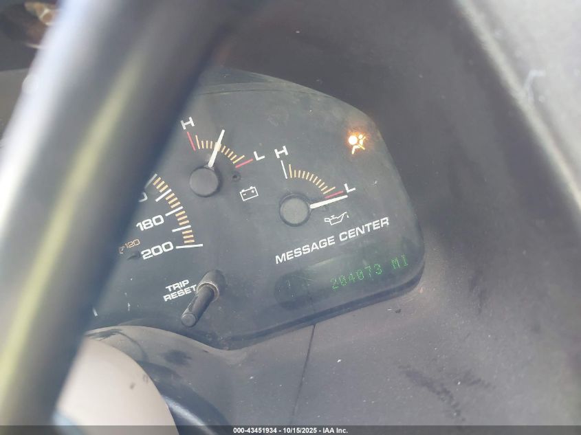 2003 Ford Expedition Eddie Bauer VIN: 1FMPU17L43LB48885 Lot: 43451934