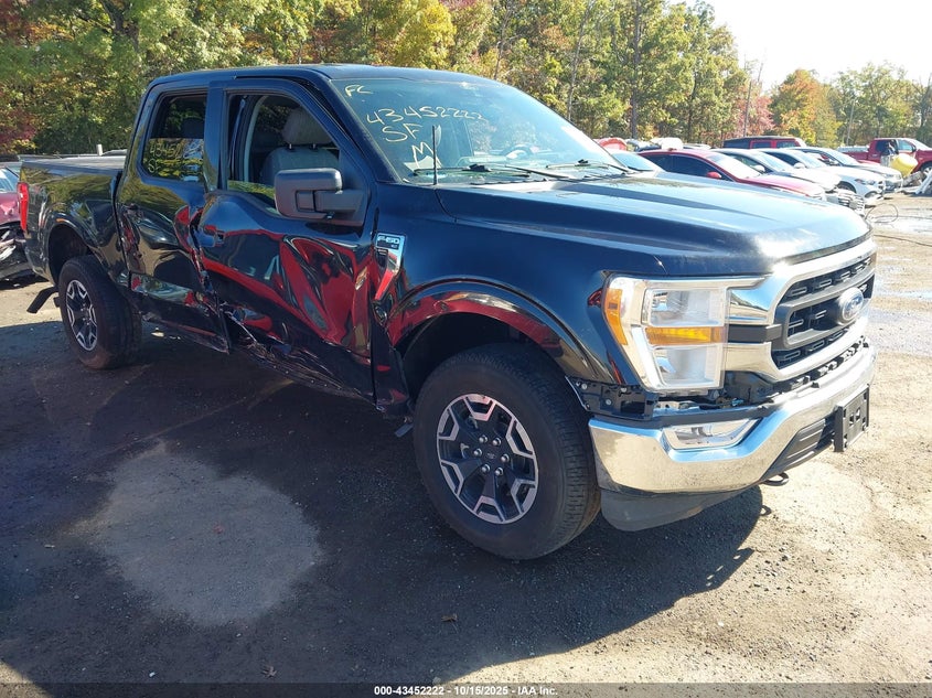FORD F-150 XLT