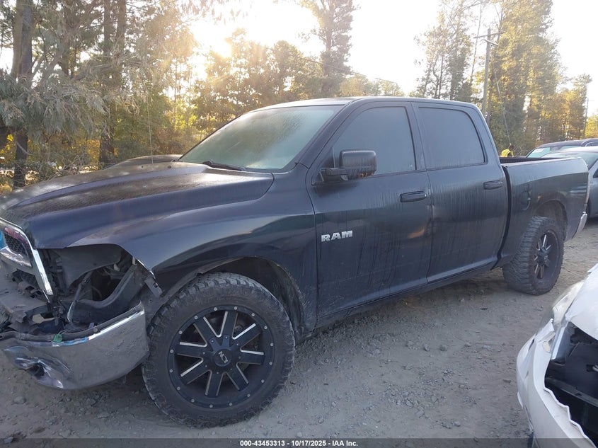 2009 Dodge Ram 1500 Slt/Sport/Trx VIN: 1D3HB13P29J509968 Lot: 43453313