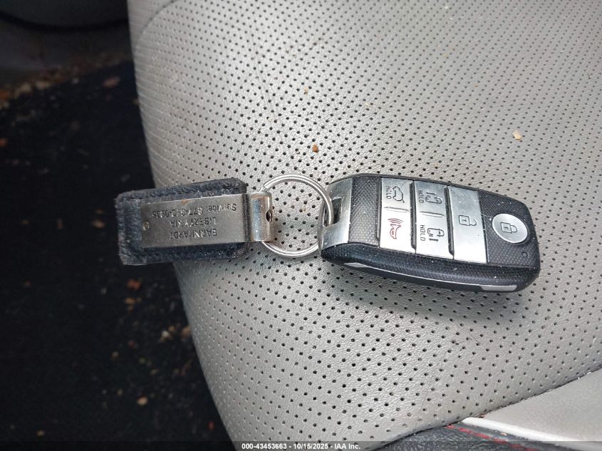 2016 Kia Sedona Sx VIN: KNDMC5C19G6169757 Lot: 43453663