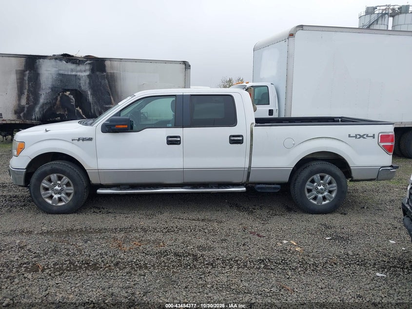 1FTFW1EF8BKD49507 2011 FORD F-150 photo no. 14