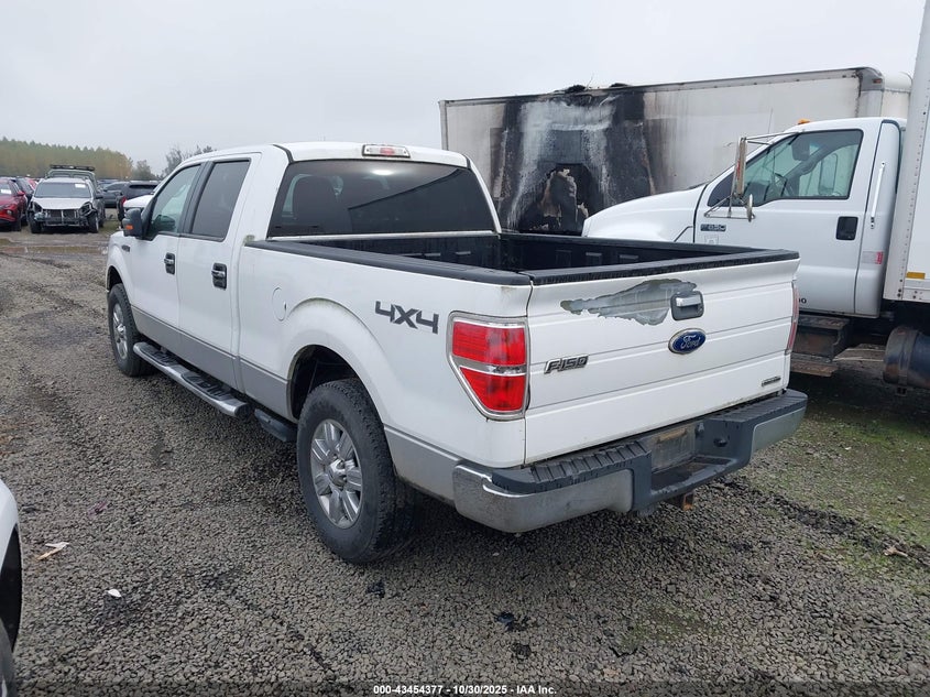 1FTFW1EF8BKD49507 2011 FORD F-150 photo no. 3
