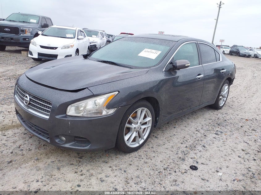 Vin: 1n4aa5ap1bc819391, lot: 43949976, nissan maxima 3.5 sv 20112