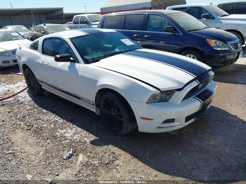 FORD MUSTANG V6