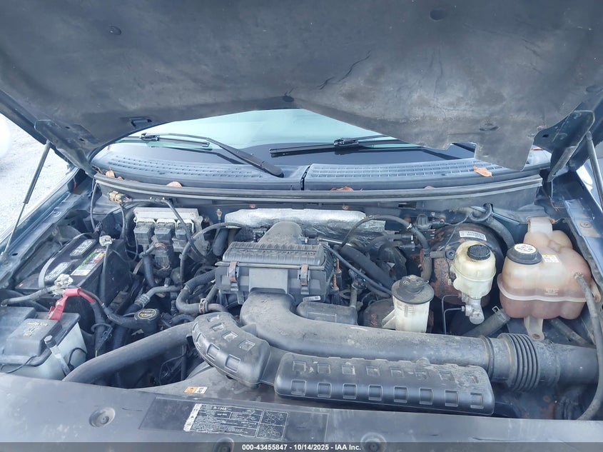 1FTPX145X6FB51391 2006 FORD F-150 photo no. 10