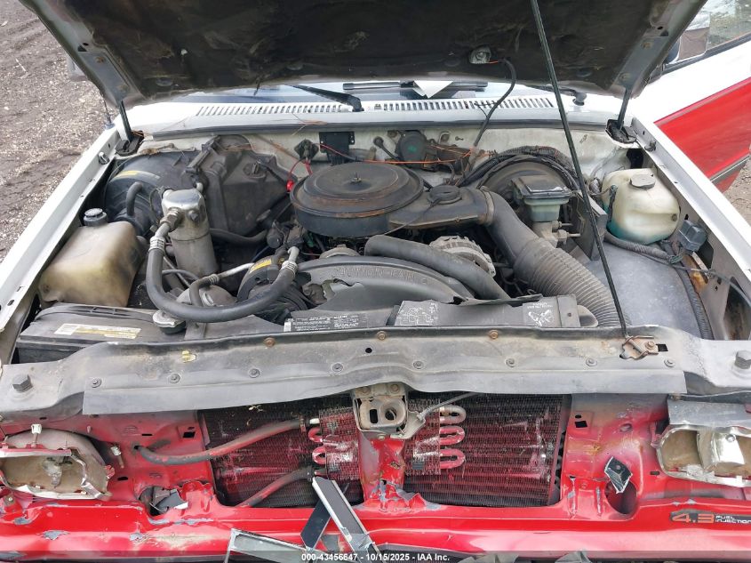 1989 Chevrolet S Truck S10 VIN: 1GCCS14Z5K2258091 Lot: 43456647