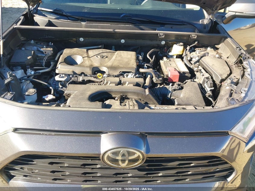 2019 TOYOTA RAV4 XLE JTMW1RFVXKJ010014