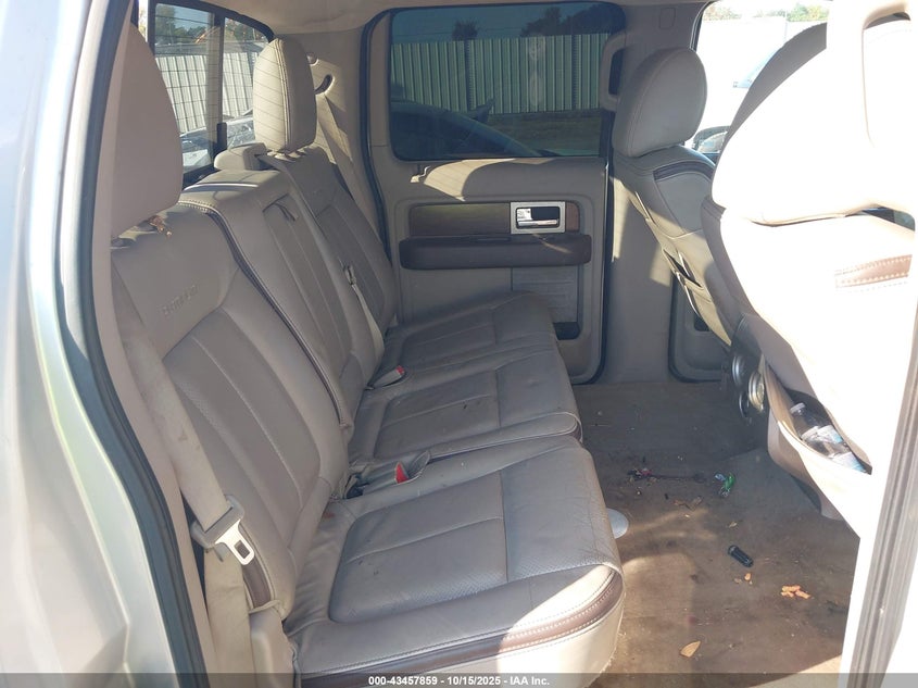 2010 Ford F-150 Platinum VIN: 1FTFW1CV8AFA39973 Lot: 43457859