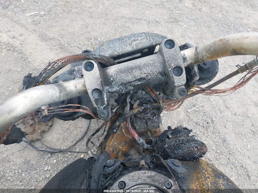 2023 Harley-Davidson Rh1250 S VIN: 1HD1ZC413PB315645 Lot: 43457928