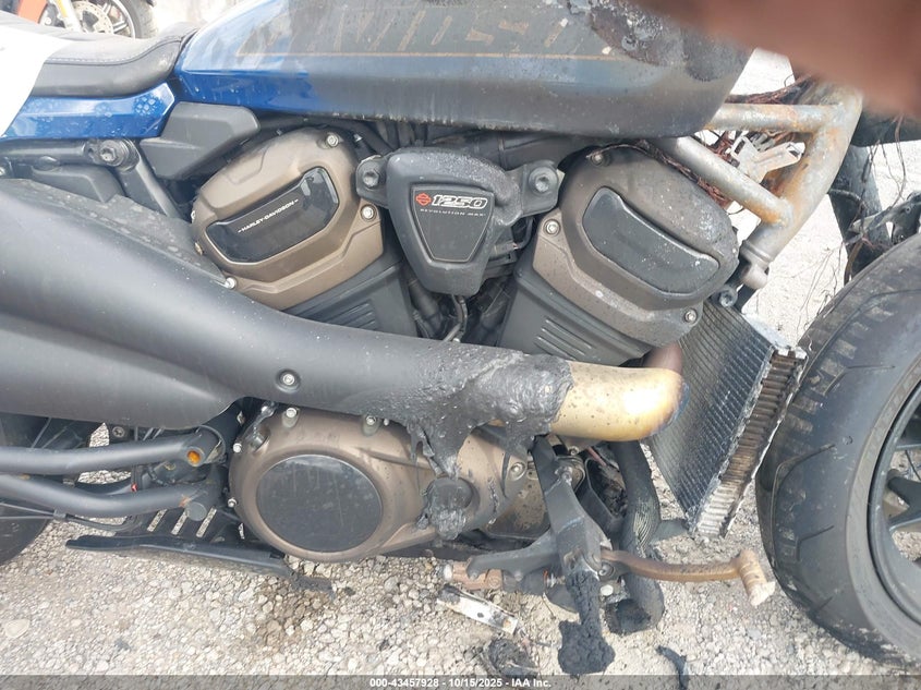 2023 Harley-Davidson Rh1250 S VIN: 1HD1ZC413PB315645 Lot: 43457928