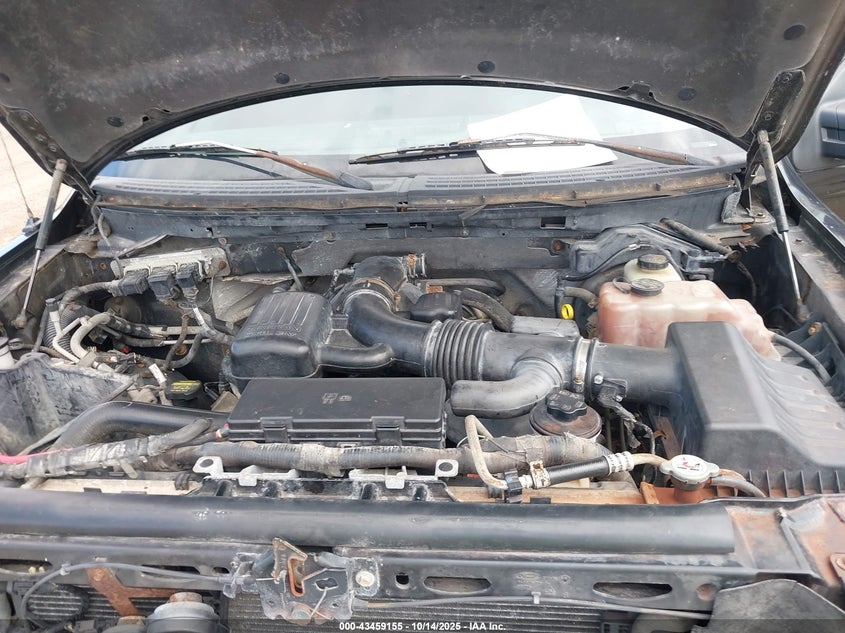 2010 Ford F-150 Fx4/Harley-Davidson/King Ranch/Lariat/Platinum/Xl/Xlt VIN: 1FTFW1EV2AFB96704 Lot: 43459155