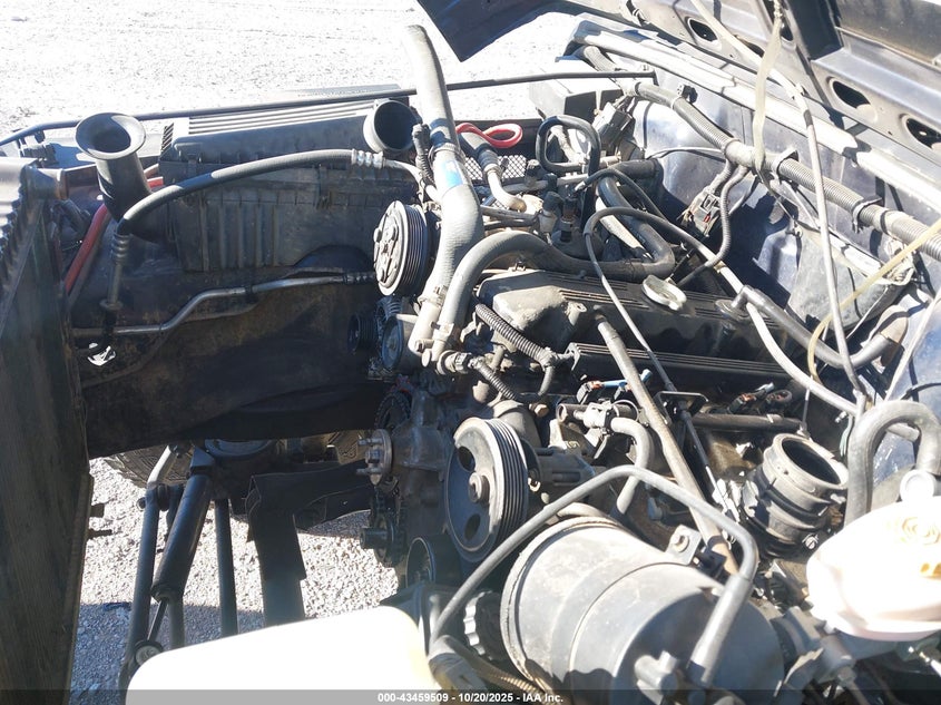 1997 Jeep Wrangler Se VIN: 1J4FY29P9VP452231 Lot: 43459509