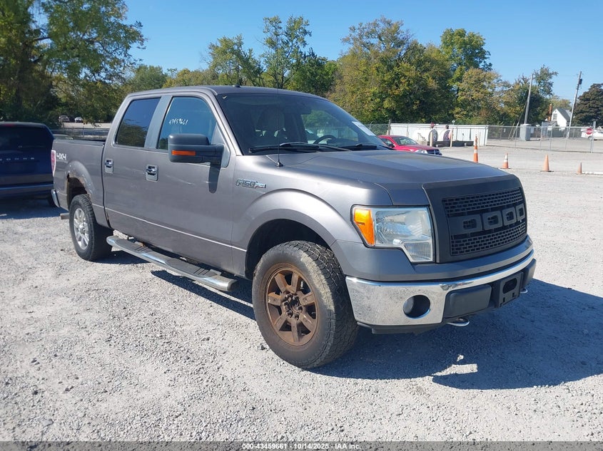FORD F-150 FX4/HARLEY-DAVIDSON/KING RANCH/LARIAT/PLATINUM/XL/XLT