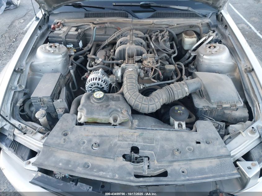 2008 Ford Mustang V6 Deluxe/V6 Premium VIN: 1ZVHT80N985160183 Lot: 43459756