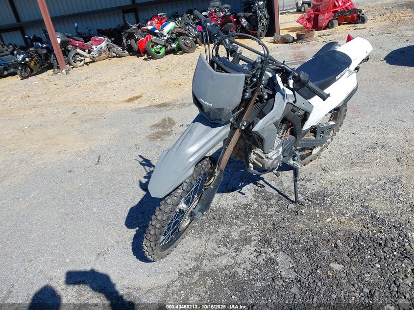 MLHND1671P5000278 2023 HONDA CRF photo no. 2