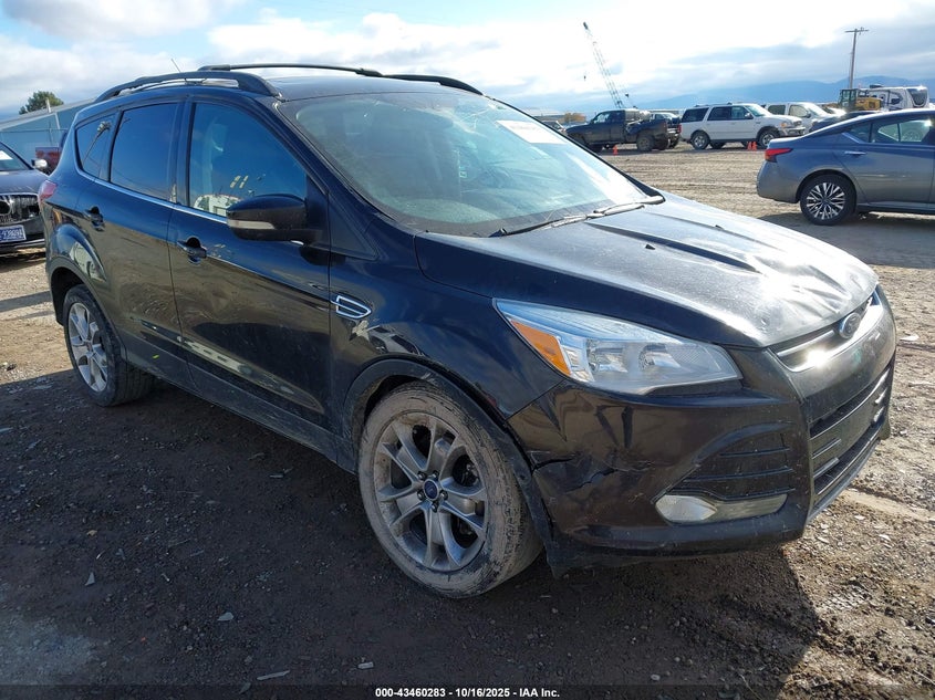 FORD ESCAPE SEL